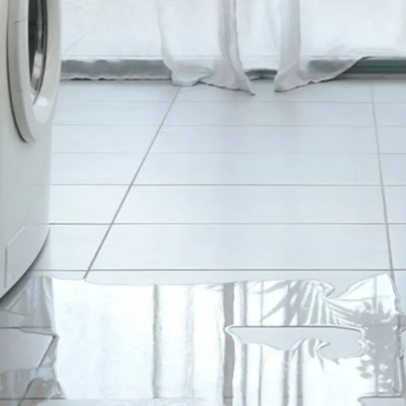 Appliance Leak Cleanup in Elm Grove, WI